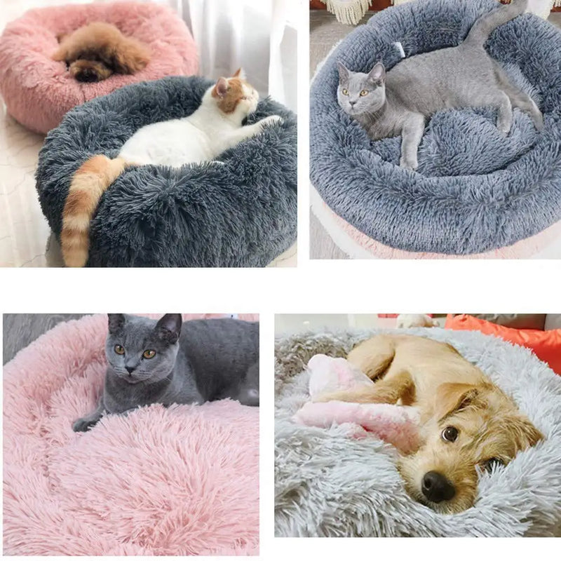 Cama Nuvem para Pets - Conforto Premium