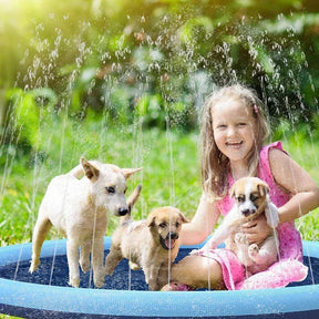 Piscina Inflável para Pets