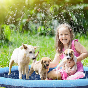 Piscina Inflável para Pets
