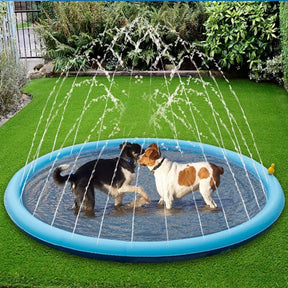 Piscina Inflável para Pets