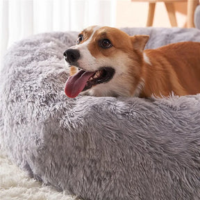 Cama Nuvem para Pets - Conforto Premium